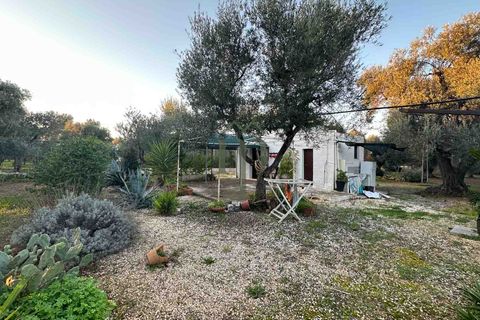 Ruinere i Ostuni, Brindisi, Ostuni - € 79.000 | Ref: Lamia Degli Uli - foto 9
